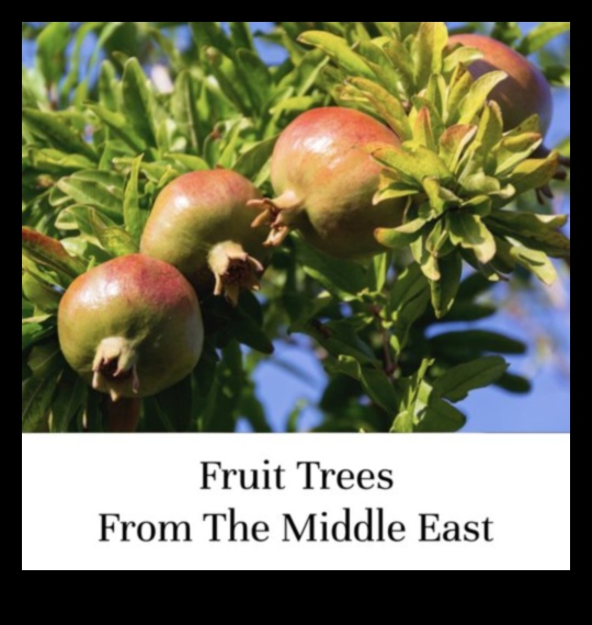 Περιβόλια Μια γλυκιά πηγή φρούτων 8 Orchards in Bloom: Blossoming Fruit Trees in Rural Landscapes