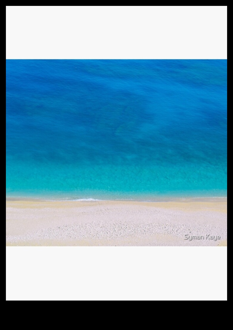 The Coast A Tapestry of Land and Sea 5 Παράκτια και παραθαλάσσια τοπία: Εκεί που η Γη συναντά τη θάλασσα