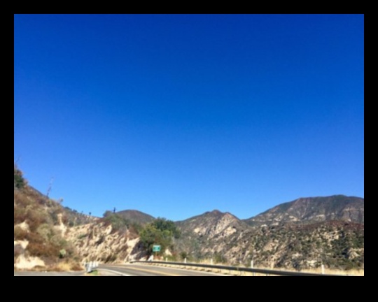 Adrenaline Arcadia: Creating Your Thrill Paradise