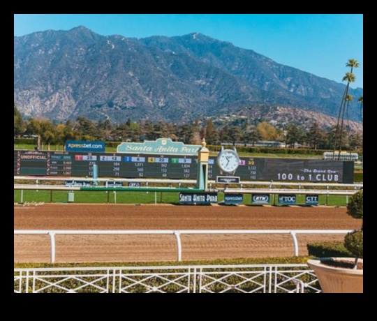 Adrenaline Arcadia: Creating Your Thrill Paradise