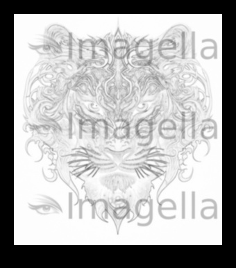 Beyond Boundaries: Exploring Limitless Tattoo Design Concepts