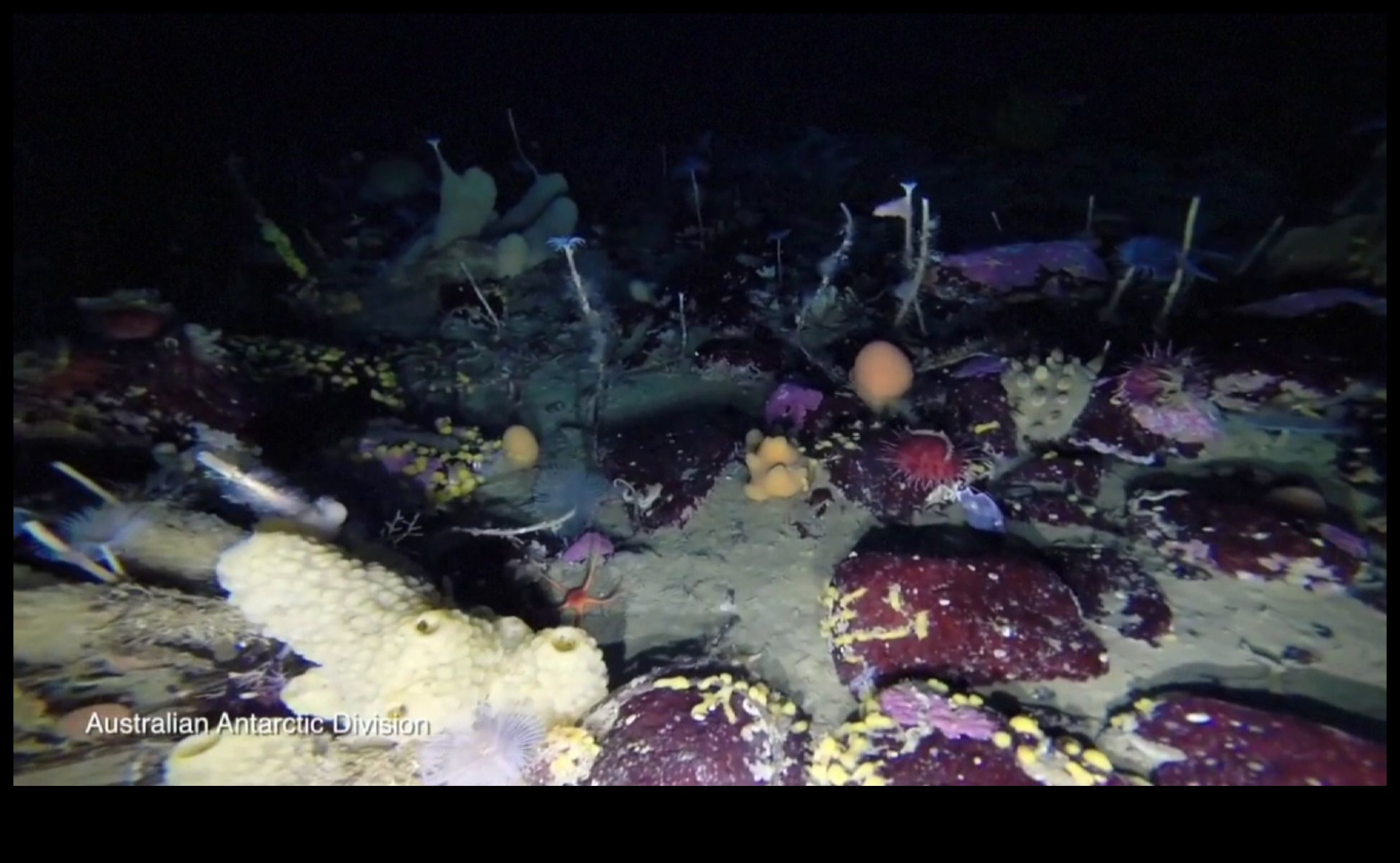 Ο κρυμμένος κόσμος της υδάτινης βιοποικιλότητας 5 Πώς συμβάλλουν τα διάφορα υδατικά συστήματα στην υδάτινη βιοποικιλότητα των τοπίων;