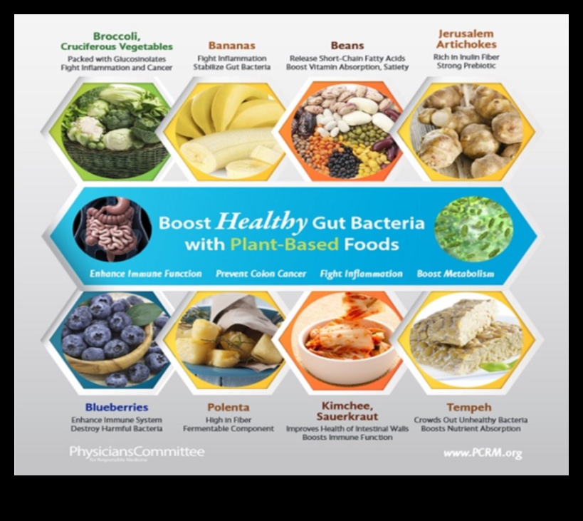 Μια φυτική διατροφή για ένα υγιές έντερο 4 Χορτοφαγικές δίαιτες και γαστρεντερική αρμονία: Εύρεση ισορροπίας