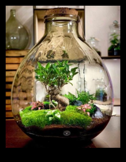Terrariums Ένα σπίτι για τα φυτά σας 4 Χειροτεχνία με φυτά: DIY Terrarium και Βοτανικές Δημιουργίες