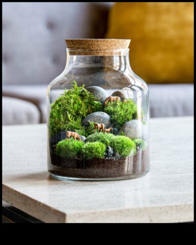 Terrariums Ένα σπίτι για τα φυτά σας
