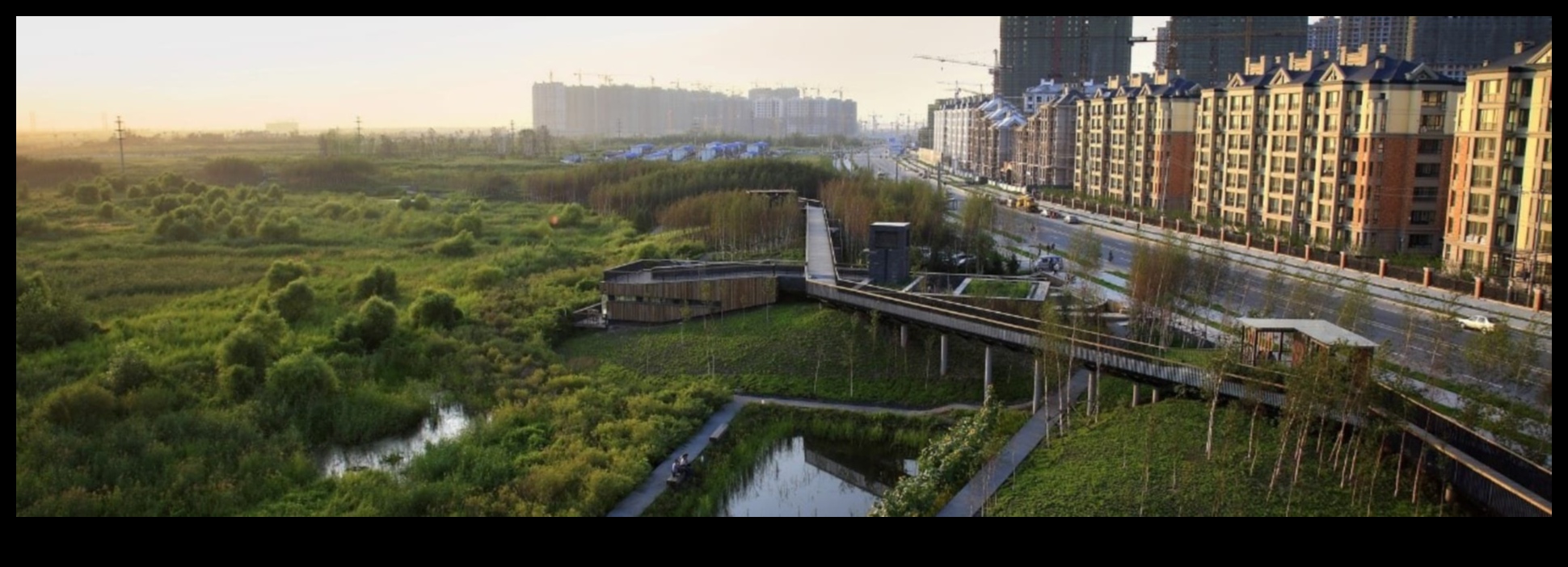 The Pulse of the City: Urban Landscapes in Constant Motion