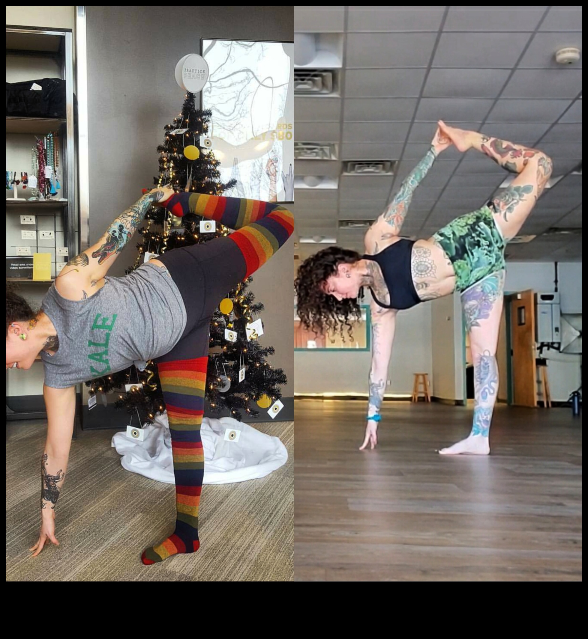 Γιόγκα για τον σύγχρονο βίγκαν 2 Βιγκανισμός και Γιόγκα: Καλλιέργεια Αρμονίας Νου-Σώματος