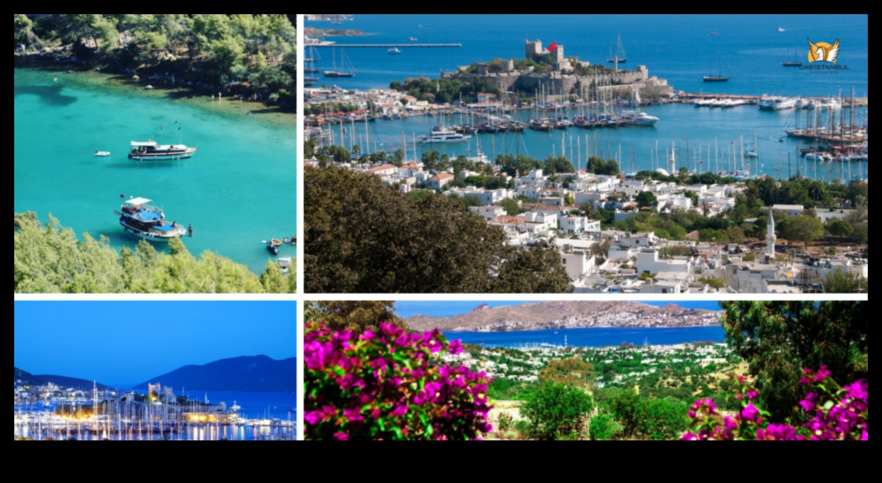 Ζωντανά ταξίδια: Καλειδοσκόπιο πολυτελών ταξιδιωτικών περιπέτειών