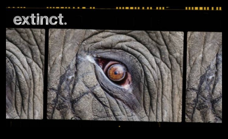 Διάσωση Απειλούμενων Ειδών Ένας αγώνας ενάντια στον χρόνο 5 Πώς συμβάλλουν τα τοπία στη διατήρηση των απειλούμενων ειδών;